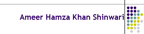 Ameer Hamza Khan Shinwari