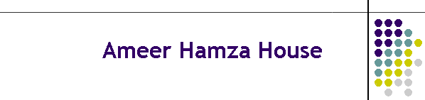 Ameer Hamza House